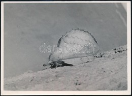 1937. Július, Kinszki Imre (1901-1945) Budapesti Fotóművész Pecséttel Jelzett Vintage Fotóművészeti Alkotása (Tölgy-lepk - Andere & Zonder Classificatie