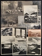 Cca 1940-1970 A Természet Régen, 12 Db Különféle Kültéri Fotó, Különböző Méretben - Andere & Zonder Classificatie