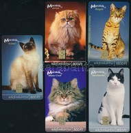 2003 Macskák, 5 Db Telefonkártya, Közte 2000 Db-os Is - Ohne Zuordnung