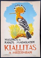 Hasznos és Káros Madaraink Kiállítás A Múzeumban Plakát, 42×29 Cm - Andere & Zonder Classificatie