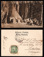 1907 - Portugal Guinea Bissau Postcard Circulated From S. Tomé To Lisbon. Outdoor Mass. Jungle. Trees. 10r Stamp. - Guinea-Bissau