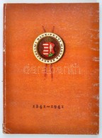 Pesti Magyar Kereskedelmi Bank 1841-1941. Száz Esztendő Emlékei. Bp., 1991, Pest-Budai Ifjúsági Kultúr Egylet. 2 Térkép- - Ohne Zuordnung