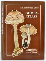 Dr. Krébecz Jenő: Gombaatlasz. Bp., 1988, Pallas. Kiadói Kartonált Papírkötés. - Non Classés