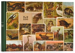 Roskó Gábor: 9x9 Zoo. Bp.,2001, K. Bazovsky Ház. Kiadói Kartonált Papírkötés, Jó állapotban. - Unclassified