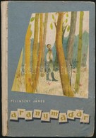 Pilinszky János: Aranymadár. Márkus Anna Rajzaival. Bp.,1957., Magvető. Első Kiadás. Kiadói Félvászon-kötés, Kopott Borí - Unclassified