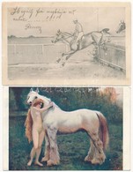 ** * 21 Db RÉGI Motívum Képeslap: Ló / 21 Pre-1945 Motive Postcards: Horse - Unclassified