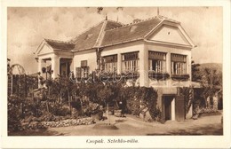 ** T1 Csopak, Sztehlo Villa - Non Classés