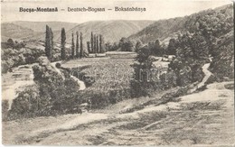 ** T2/T3 Boksánbánya, Németbogsán, Deutsch-Bogsan, Bocsa Montana, Bocsa; Látkép. Adolf Rosner Kiadása / General View - Unclassified