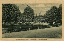 T2/T3 Buziásfürdő, Baile Buzias; Promenada Parcului / Park Korzó / Park, Promenade (EK) - Ohne Zuordnung