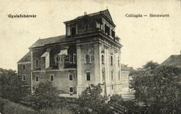 T3 1917 Gyulafehérvár, Karlsburg, Alba Iulia; Csillagda, Csillagvizsgáló. Weisz Bernát Kiadása / Sternwarte / Observator - Unclassified