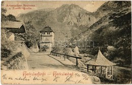 T2/T3 1902 Herkulesfürdő, Herkulesbad, Baile Herculane; Artesicher Brunnen U. Josefs-Quelle / Artézi Kút, József Forrás  - Ohne Zuordnung