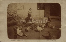 T2/T3 1910 Lippa, Lipova; Baromfiudvar, Tyúkokkal és Malacokkal / Barton, Woman Feeding Chickens And Pigs. Photo (EK) - Ohne Zuordnung