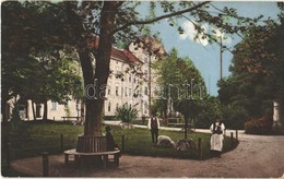 T2 Nagyszeben, Hermannstadt, Sibiu; Városliget, Szanatórium / Park And Sanatorium - Unclassified