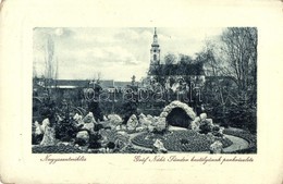 T2/T3 1911 Nagyszentmiklós, Sannicolau Mare; Gróf Nákó Sándor Kastélyának Park Részlete. W.L. Bp. 6708. Kiadja Wiener Ná - Ohne Zuordnung