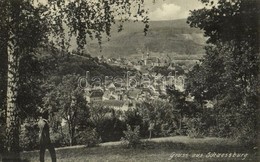 T2 1910 Segesvár, Schässburg, Schaessburg, Sighisoara; - Ohne Zuordnung