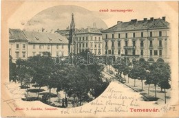 T2 1902 Temesvár, Timisoara; Jenő Herceg Tér, Rukavina Emlékmű, Takarékpénztár, Martin Jakab üzlete. Kiadja J. Raschka / - Ohne Zuordnung