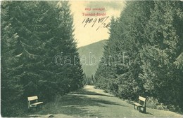 T2 1909 Tusnád-fürdő, Baile Tusnad; Régi Országút / Road - Ohne Zuordnung