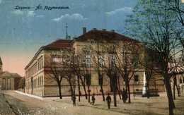 T2/T3 1923 Losonc, Lucenec; Állami Főgimnázium. Kiadja Bicskei Zoltán / High School - Non Classés