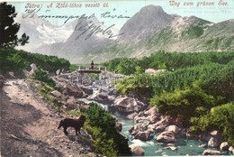 T2 1911 Tátra, Tatry; Zöld-tóhoz Vezető út / Weg Zum Grünen See / Zelené Pleso - Non Classés