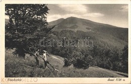 T2 1941 Tiszaborkút, Kvaszi, Kvasy; Sesul 1728 M / Mountain - Sonstige & Ohne Zuordnung