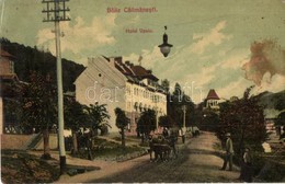 * T3 Calimanesti, Baile Calimanesti; Hotel Vasiu. Editura Ad. Maier & D. Stern No. 1894. (fl) - Autres & Non Classés