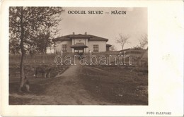 * T2 Macin, Ocolul Silvic / Forestry. Zalevski Photo - Autres & Non Classés