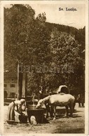 T2/T3 Lucija, Sv. Lucija; Main Square, Drinking Horses - Other & Unclassified