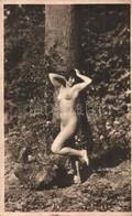 ** T2/T3 Erotic Nude Lady. J. Mandel (non PC) (fl) - Non Classés