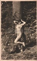 ** T2/T3 Erotic Nude Lady. J. Mandel (non PC) (fl) - Ohne Zuordnung