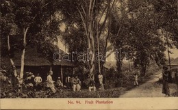 ** T2 Malaysian Folklore, Fruit Plantation - Unclassified