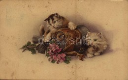 ** T2/T3 Cats With Military Cap. M. Munk Nr. 1109. (fl) - Unclassified