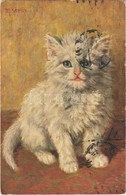 T2 1915 Kitten, Serie 554. S: M. Stacks - Zonder Classificatie