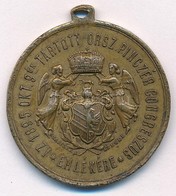 1895. 'Az 1895. Okt. 9-én Tartott Orsz. Pinczér Congreszus Emlékére' Br Emlékérem Füllel, Szalag Nélkül (31mm) T:2,2- Ha - Non Classés