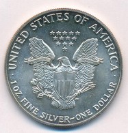 Amerikai Egyesült Államok 1987. 1$ Ag 'Amerikai Sas' Eredeti Tokban, Tanúsítvánnyal T:BU Patina
USA 1987. 1 Dollar Ag 'A - Ohne Zuordnung