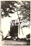 Foto Molen - Sint-Eloois-Winkel 12x8 Cm - Ledegem