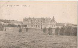 Kemmel - Le Château - Het Kasteel - Edit. Depuydt-Serruys - 1928 - Heuvelland
