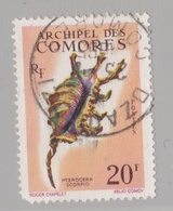 COMORES  :  Yvert :  23  (o)  Coquillage   Cote 13,00 € - Gebruikt