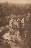 BELGIQUE  ANSEREMME   CHATEAU DE WALZIN  WALLONIE   CPA SEPIA - Otros & Sin Clasificación