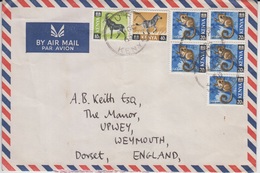 Kenya Cover, Stamps, Fauna    (A-5400) - Kenia (1963-...)