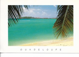 GUADELOUPE/ CPM  N° 102 - SAINT MARTIN - PLAGE DE GREAT BAY / VOYAGEE 1997 / TBE - Saint Martin