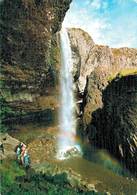 Sur Les Monts D'aubrac Nasbinals La Cascade Du Deroc 1997  CPM Ou CPSM - Aumont Aubrac