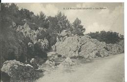 LA ROQUEBRUSSANNE   ( VAR )  LES NEFFONS - La Roquebrussanne