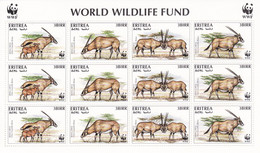 Eritrea, WWF; Beisa Orix, 1996 - Eritrea