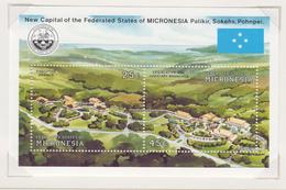 Micronesië Jaar 1991 Michel-nr Blok 7+8 **/MNH - Micronesia