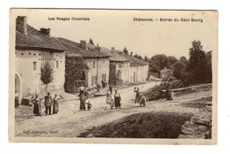 88 VOSGES - CHATENOIS Entrée Du Haut Bourg, Carte Glacée - Chatenois