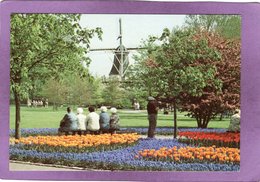 LISSE KEUKENHOF  Windmolen Windmühle Moulin à Vent Windmill - Lisse