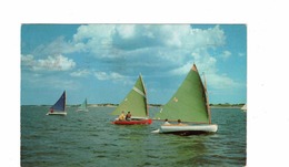 NANTUCKET, Massachusetts, USA, Small Sailboats Race, 1960 Chrome Postcard - Nantucket