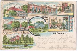 Germany Deutschland 1905 Gruss Aus Dorfmark, Gasthof Bahnhof Train Railroad Railway Villa Weidenhofer Litho - Fallingbostel