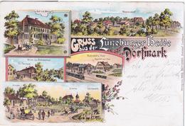 Germany Deutschland 1905 Dorfmark, Gruss Aus Der Lüneburger Heide Litho - Fallingbostel