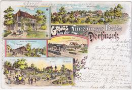 Germany Deutschland 1898 Dorfmark, Gruss Aus Der Lüneburger Heide Litho - Fallingbostel